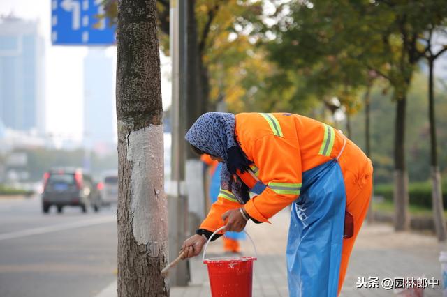 园林绿化清园如何清？掌握这几点，有效降低来年病虫害爆发量