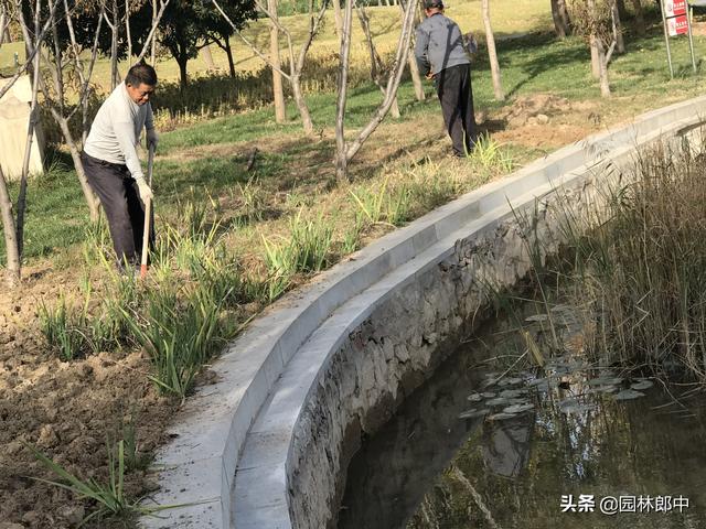 园林绿化清园如何清？掌握这几点，有效降低来年病虫害爆发量