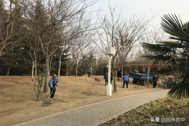 园林绿化清园如何清？掌握这几点，有效降低来年病虫害爆发量