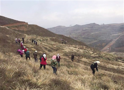 青海：规模化林场建设让荒山变绿地