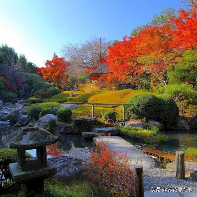 新手也能造出梦想花园，浅谈花园理念，自己喜欢的风格才是对的
