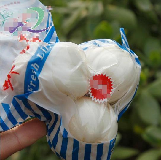 菜市场买斤“小雪球”，种出满盆百合花，现在种，春节就盛开