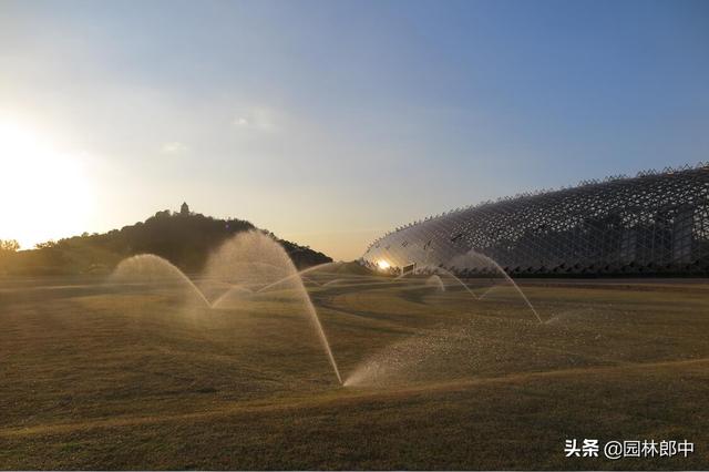 要想来年草坪好，入冬前的这几项管理工作不能少，你准备好了么