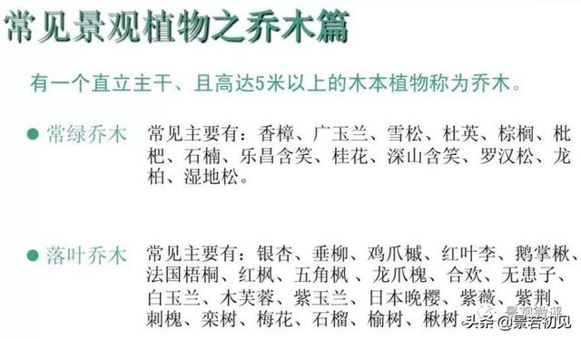 小区景观设计常用植物大全