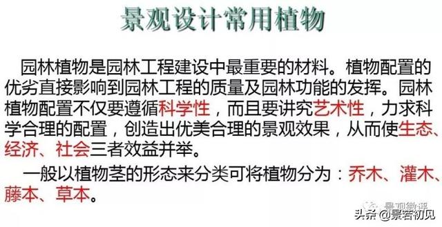 小区景观设计常用植物大全