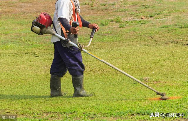 要想来年草坪好，入冬前的这几项管理工作不能少，你准备好了么