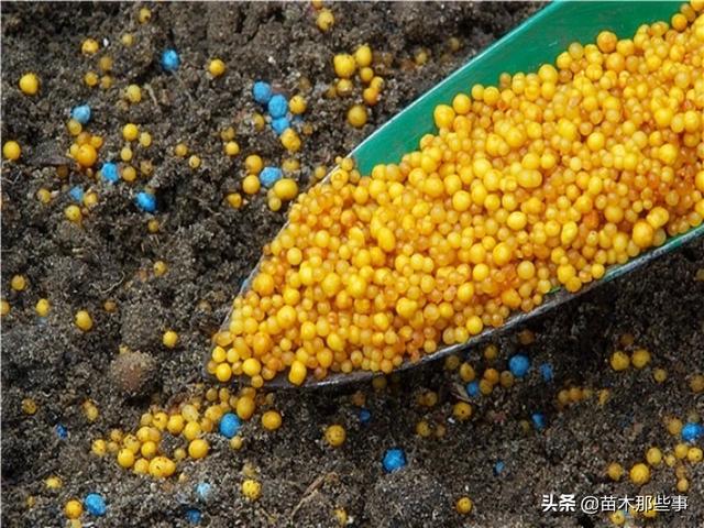 苗农不得不知的肥料知识，收好