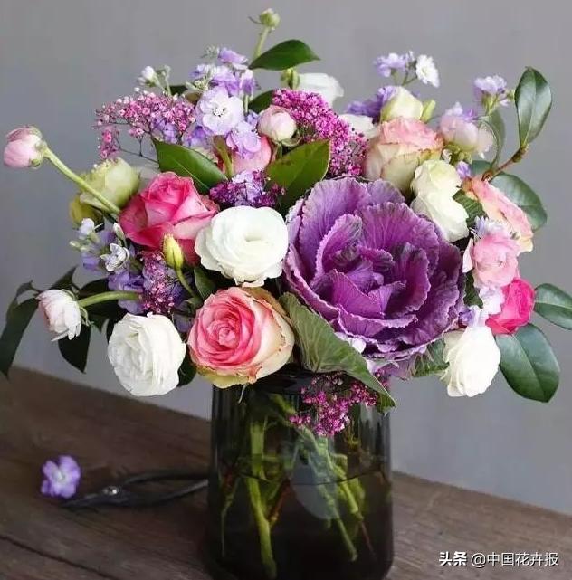 “叶牡丹”绚丽如花，成为冬日里最亮的那抹色彩