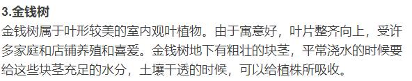 四种花，天热也不能多浇水，适当“旱一旱”，不烂根，更健康
