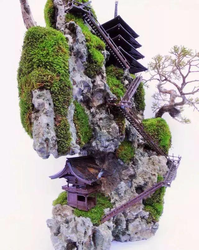 这样的盆景你可能都没见过，太好看了