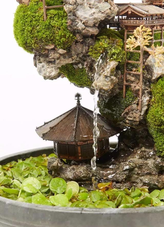 这样的盆景你可能都没见过，太好看了