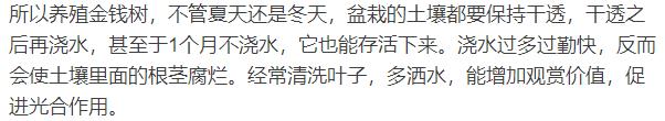 四种花，天热也不能多浇水，适当“旱一旱”，不烂根，更健康