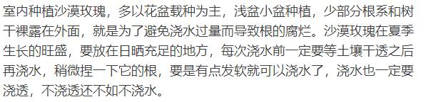 四种花，天热也不能多浇水，适当“旱一旱”，不烂根，更健康