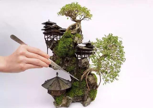 这样的盆景你可能都没见过，太好看了