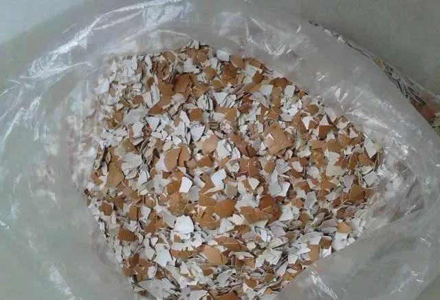 养花不用买土，这几种东西掺一块儿，种什么都旺，叶绿枝壮开花多