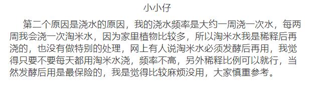 新买的吊兰3个月养成了一棵吊兰树，原来她用了这个方法
