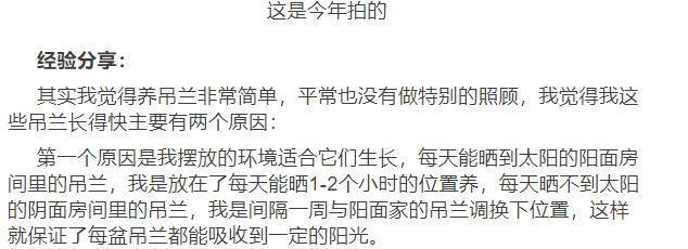 新买的吊兰3个月养成了一棵吊兰树，原来她用了这个方法