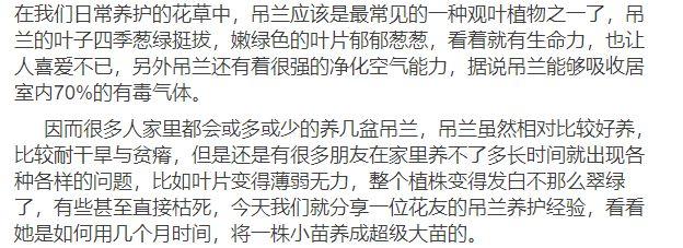 新买的吊兰3个月养成了一棵吊兰树，原来她用了这个方法