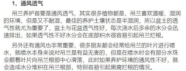 新买的吊兰3个月养成了一棵吊兰树，原来她用了这个方法