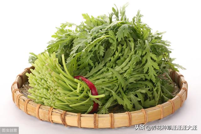 阳台种盆这种“草”，好看，好养，又好吃