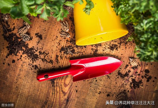 花盆换土时，剩下来的旧土壤，做好这三方面处理，种花没问题