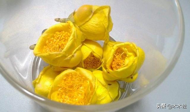 茶族皇后金花茶