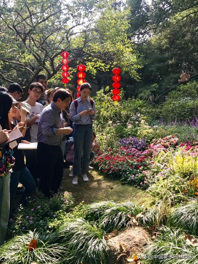 中国花境迎来良好时代机遇 行业发展要走中国特色的可持续之路