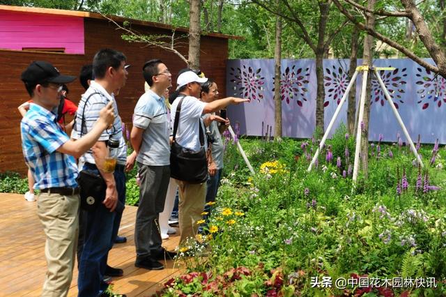 中国花境迎来良好时代机遇 行业发展要走中国特色的可持续之路