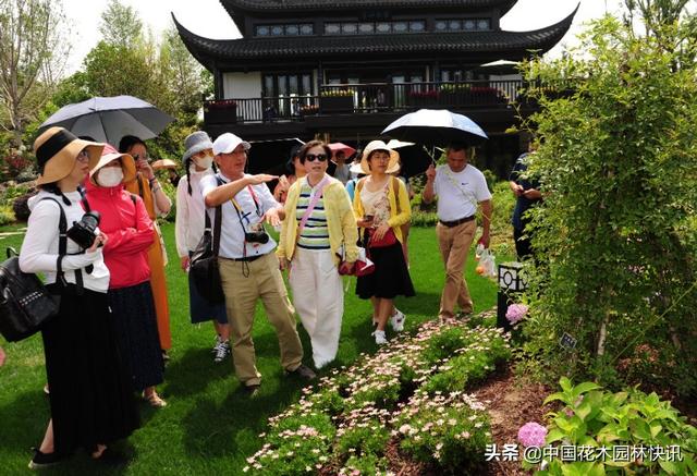 中国花境迎来良好时代机遇 行业发展要走中国特色的可持续之路
