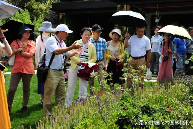 中国花境迎来良好时代机遇 行业发展要走中国特色的可持续之路