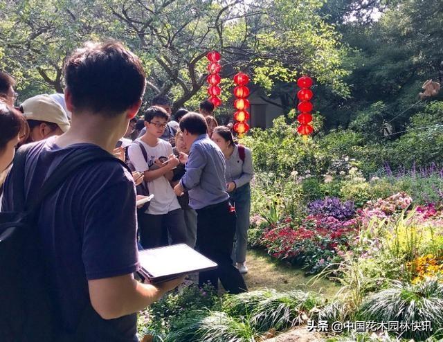 中国花境迎来良好时代机遇 行业发展要走中国特色的可持续之路
