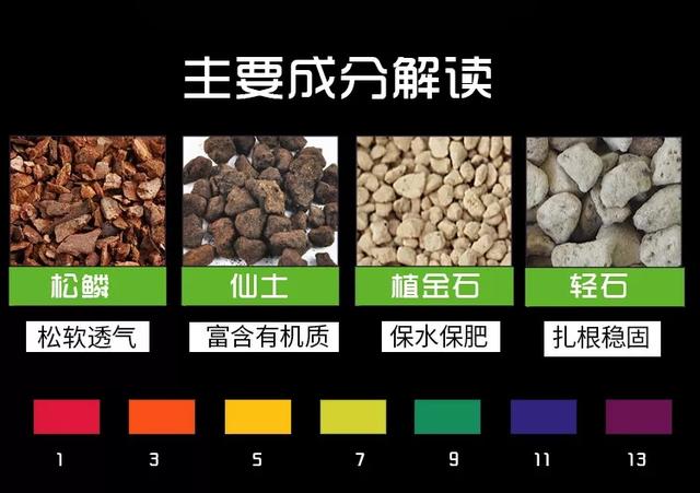 小小身板的文心兰，不需要太多光照和照料，但开花却浩浩荡荡