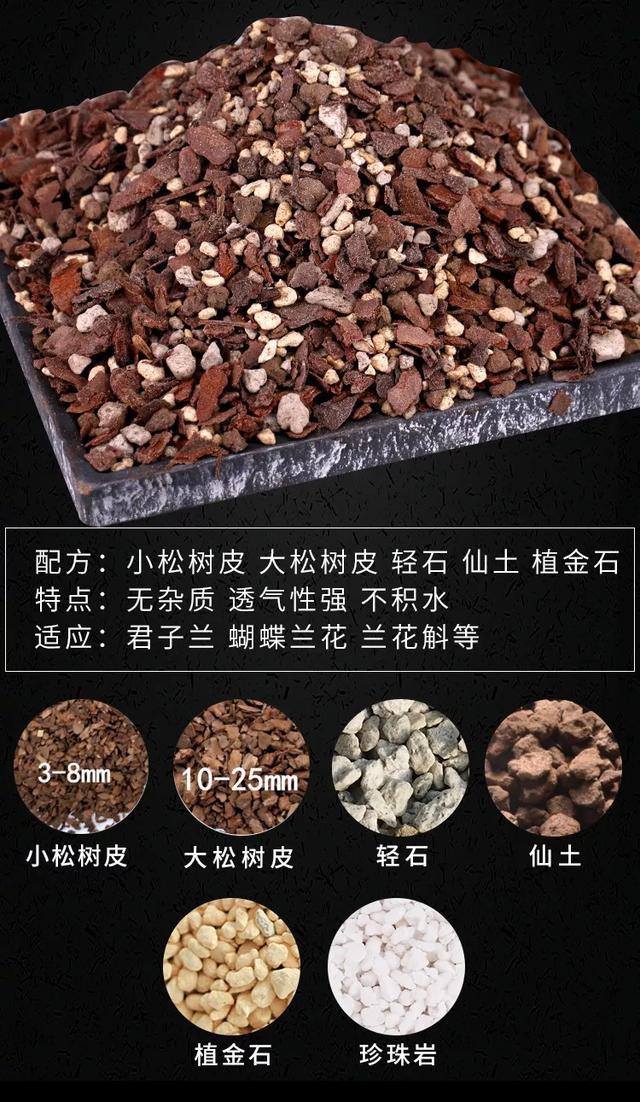 小小身板的文心兰，不需要太多光照和照料，但开花却浩浩荡荡