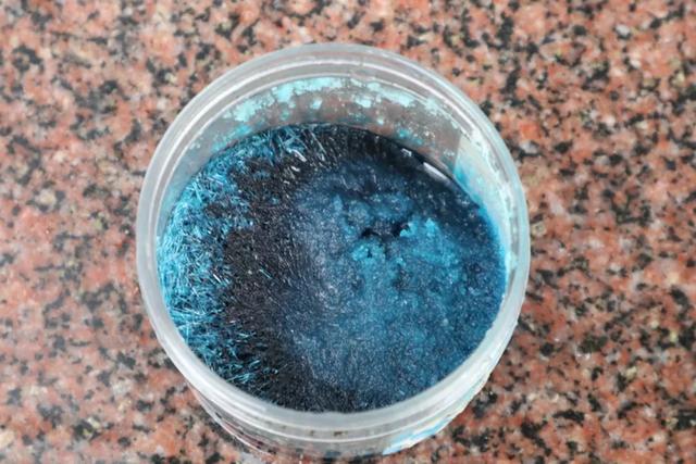 2年长到1M直径，一次能开80朵，盆栽爆花绣球养成记