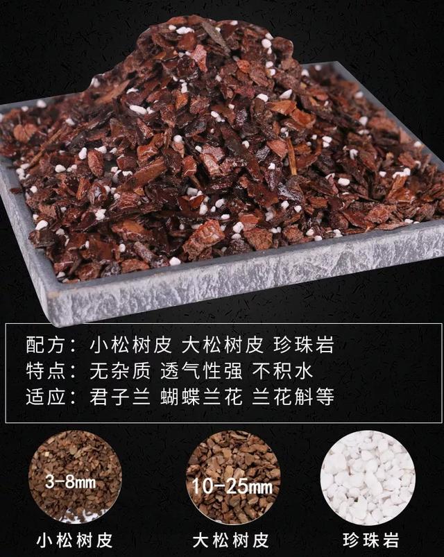 小小身板的文心兰，不需要太多光照和照料，但开花却浩浩荡荡