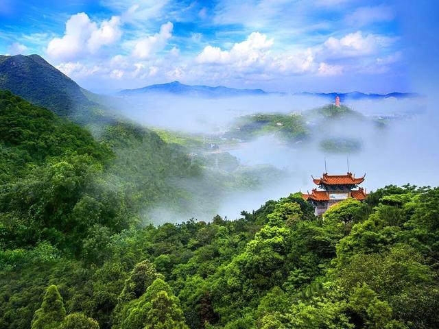 广东实现生态与产业“双丰收”将用3亿元建150个绿美古树乡村
