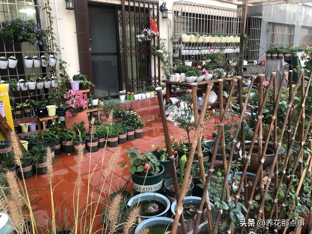 植物养不好，土是罪魁祸首，带你认识养花常见的3类土