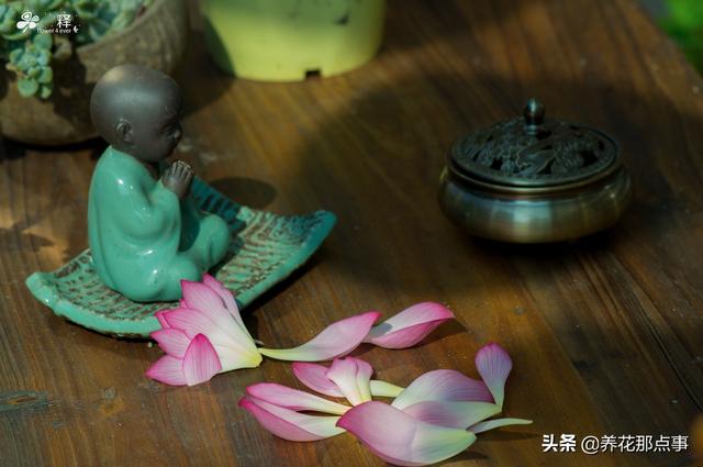 一个好的花园是这样炼成的，会构图会养花，还要懂得注入灵魂