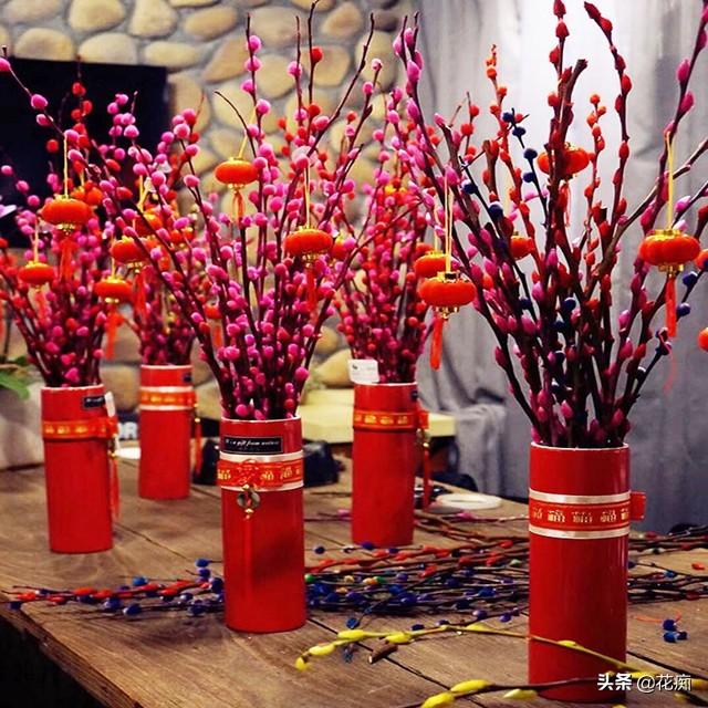 家养银柳，日子越过越有，春节就要养一盆