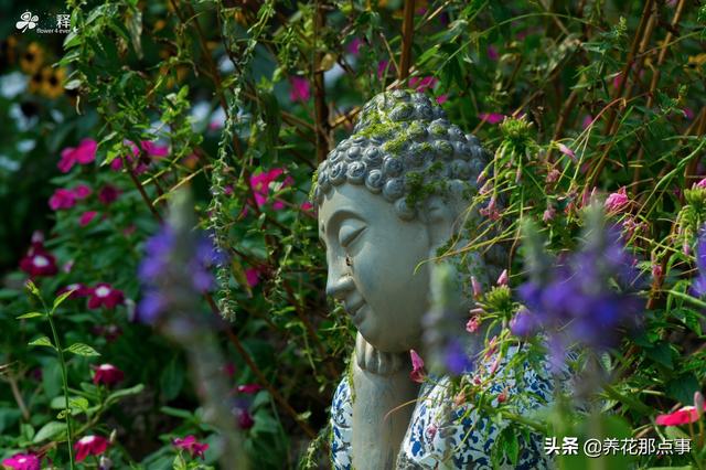 一个好的花园是这样炼成的，会构图会养花，还要懂得注入灵魂