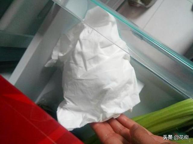 朱顶红，只长叶子不开花，秋后这样处理，1个月轻松开爆盆