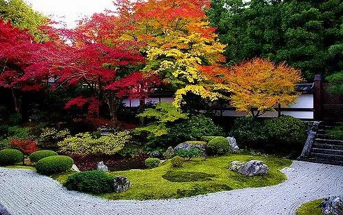红枫庭院，太美了