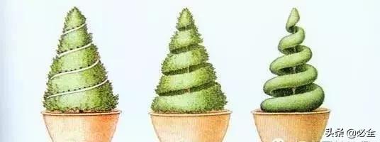 如何做好园林植物立体造型？