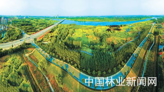 五彩鸢都 森林潍坊