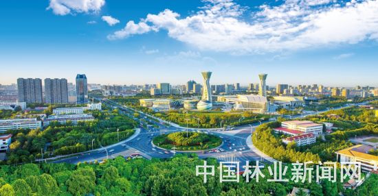 五彩鸢都 森林潍坊