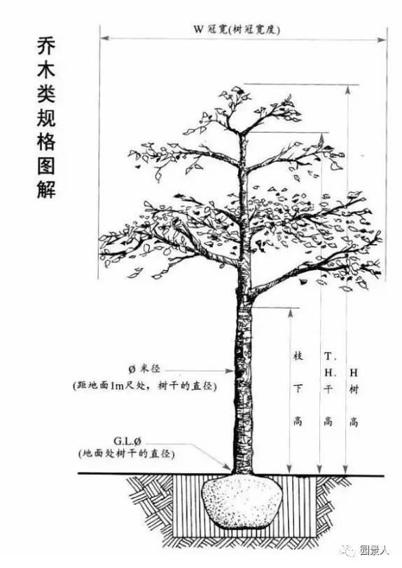 园林人的“专属暗号”