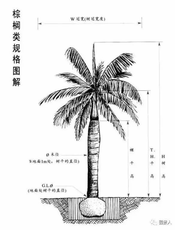 园林人的“专属暗号”