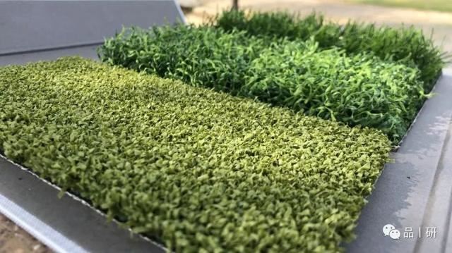 什么是景观人造草？人造草能替代自然草坪吗？