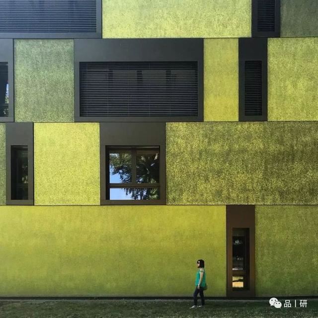 什么是景观人造草？人造草能替代自然草坪吗？