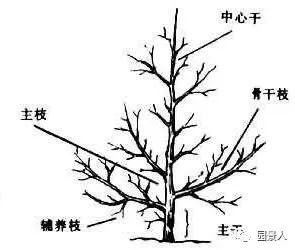 园林人的“专属暗号”